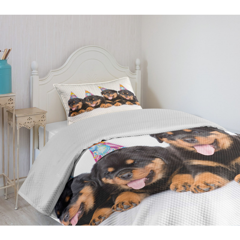 Birthday Dogs Hats Bedspread Set