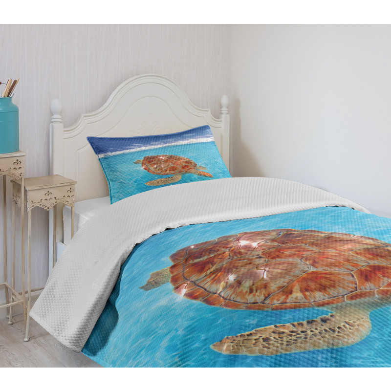 Chelonia Water Surface Bedspread Set