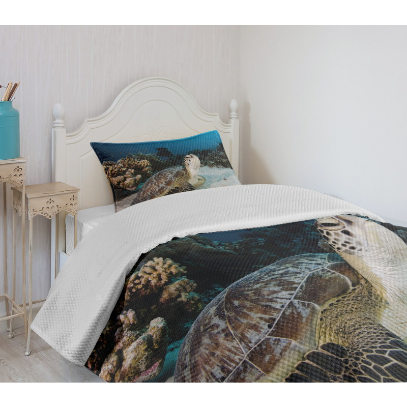Turtle Coral Reef Bedspread Set