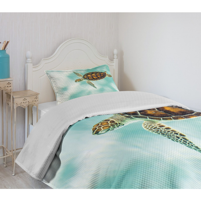 Endangered Baby Turtle Bedspread Set