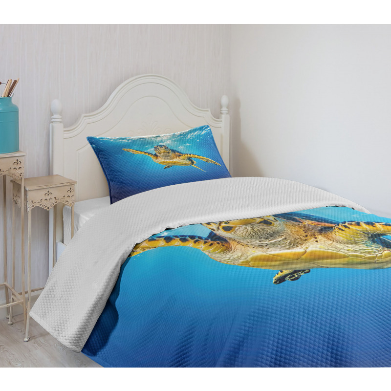 Blue Waters Swimming Bedspread Set