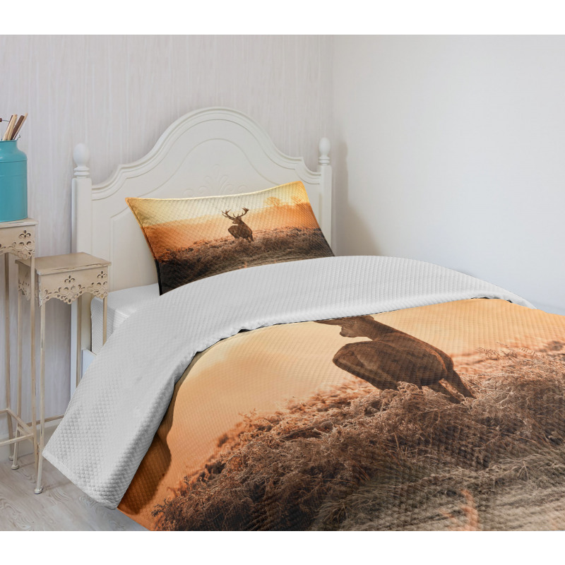 Deer Morning Sun Bedspread Set