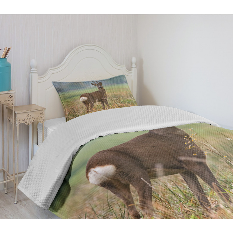 Deer Wildlife Bedspread Set