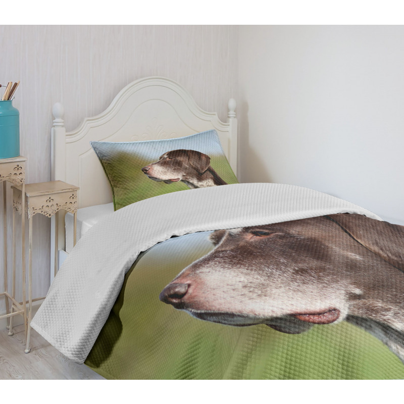 German Pointer Bedspread Set