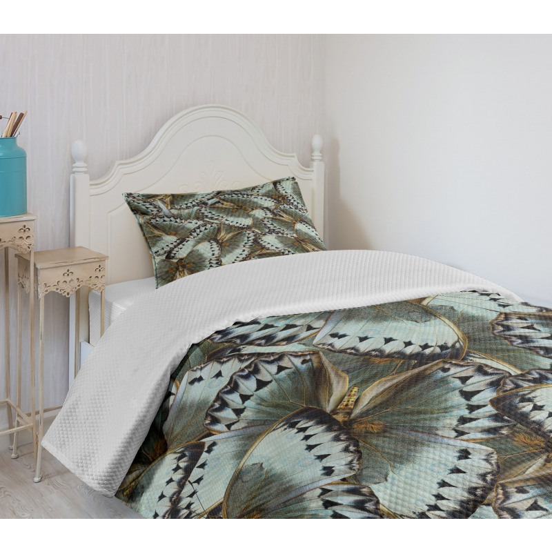 Butterflies Jungle Queen Bedspread Set