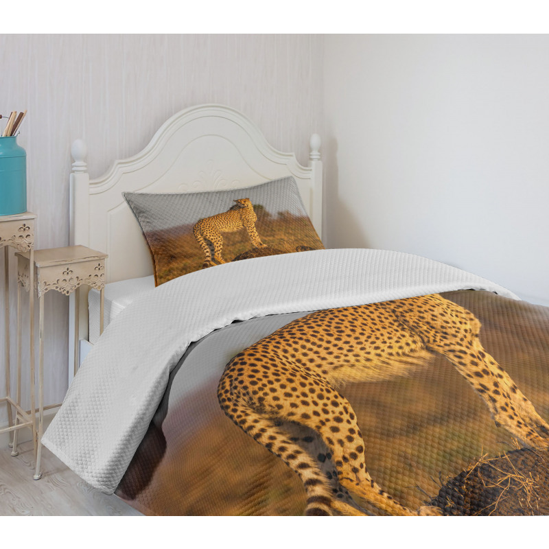 Wild Cheetah Bedspread Set