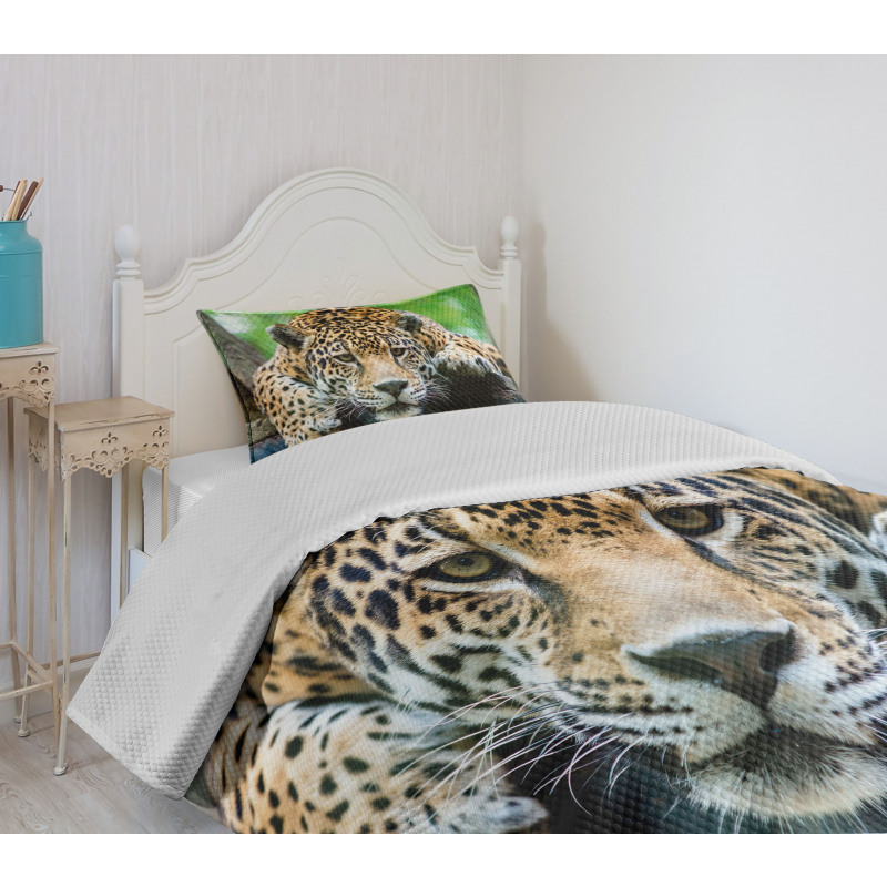 Jaguar Wildcat Feline Bedspread Set