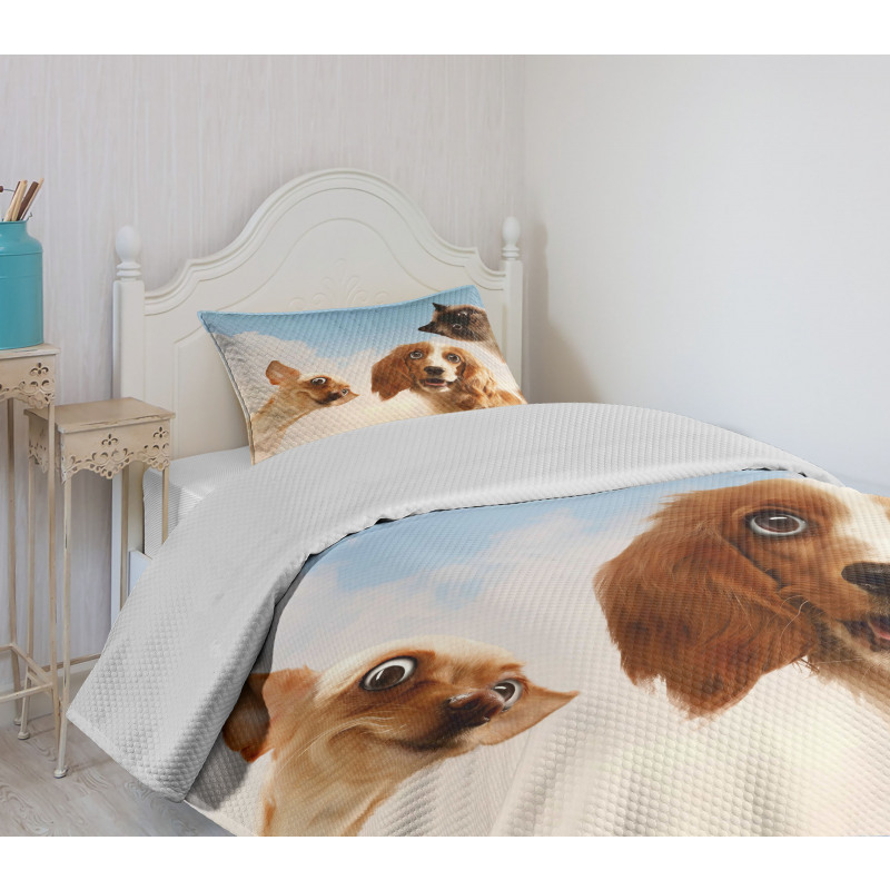 Cats Dogs in Sky Clouds Bedspread Set
