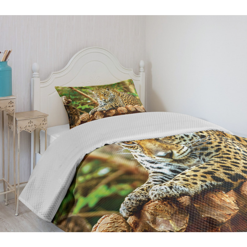 Jaguar on Wood Wild Feline Bedspread Set