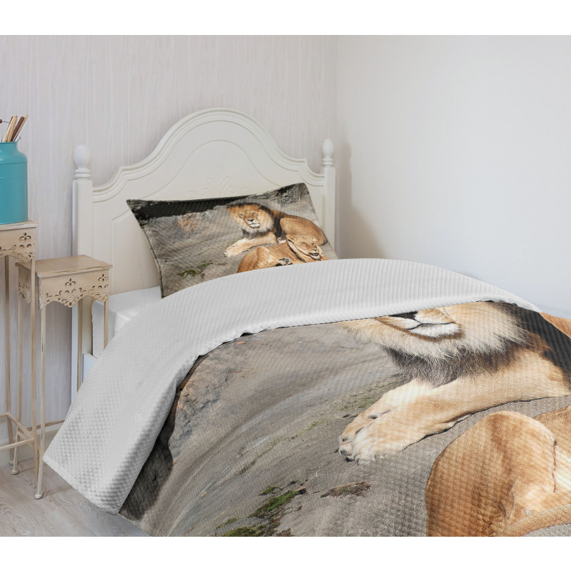 Lions Basking in Sun Jungle Bedspread Set