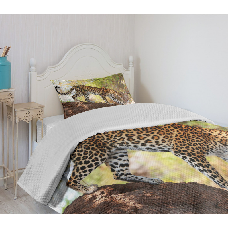 Leopard Tree Nature Reserve Bedspread Set