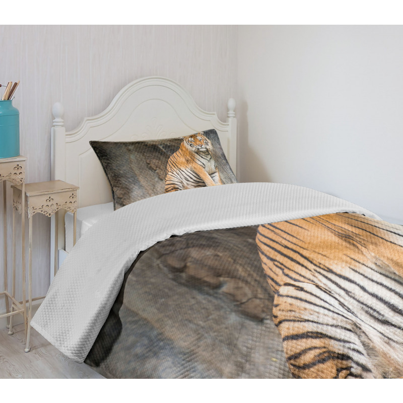 Bengal Tiger Cat Predator Bedspread Set