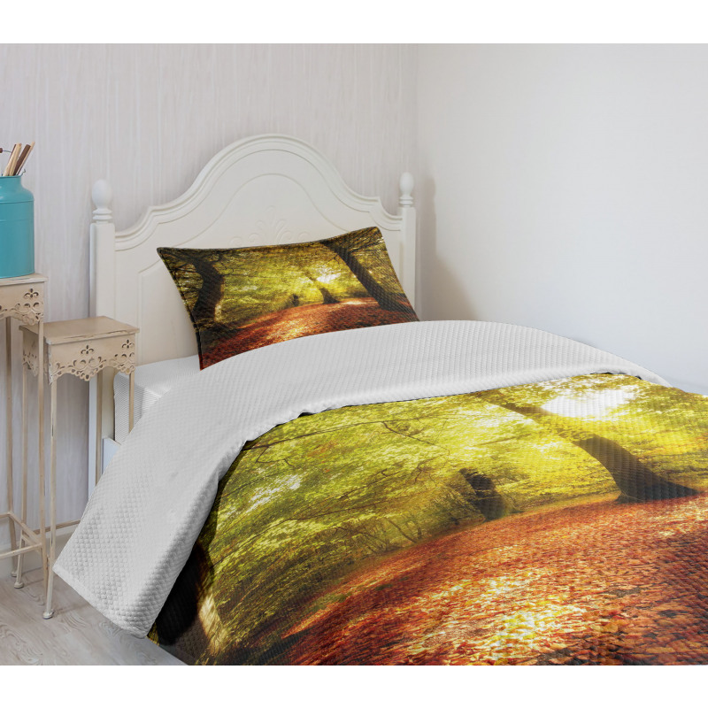 Blurry Forest Dreamy View Bedspread Set