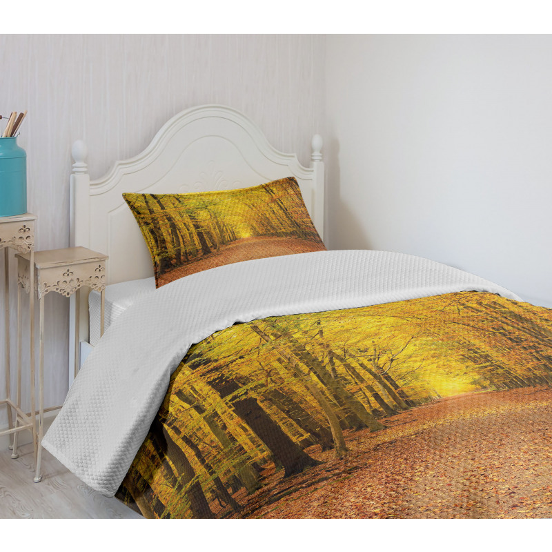 Seasonal Scenic Park Bedspread Set