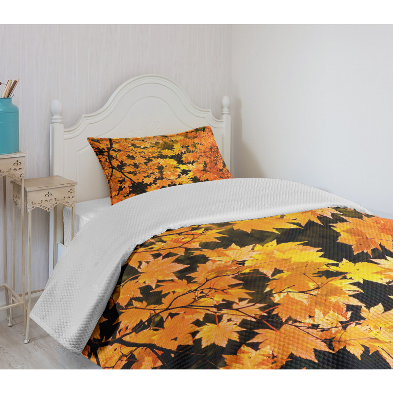 Vivid Autumn Maple Leaves Bedspread Set