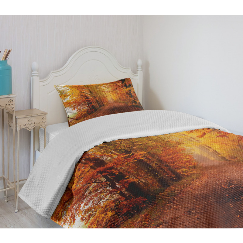 Footpath in Foggy Woods Bedspread Set