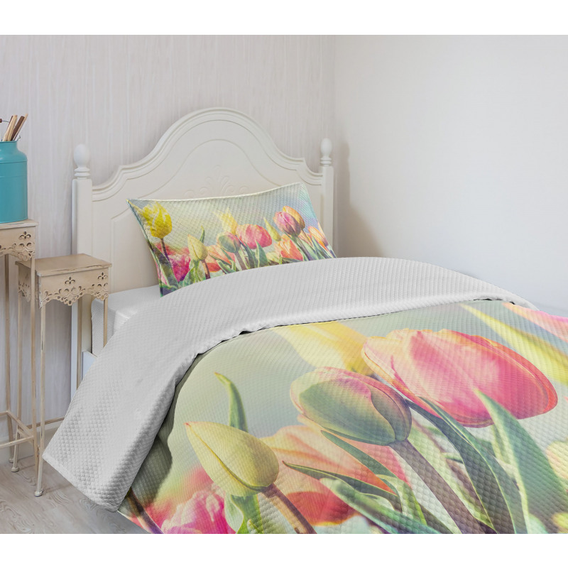 Tulips Flower Bed Park Bedspread Set