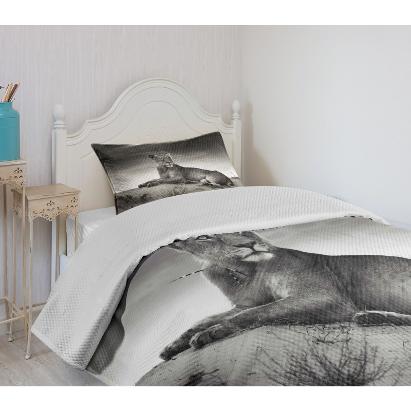 Wild Lioness Bedspread Set