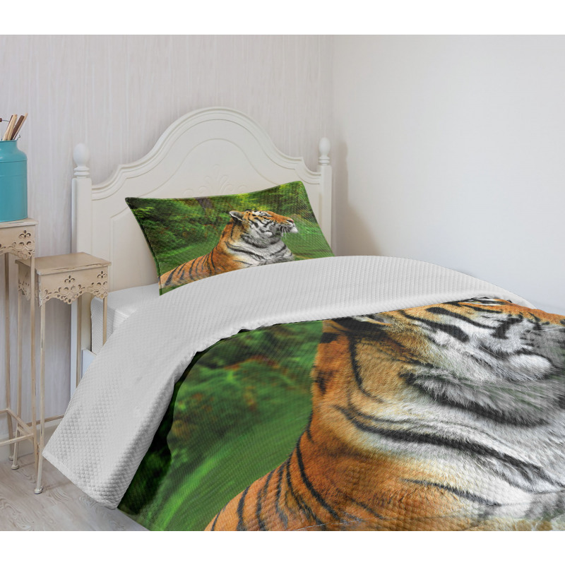 Siberian Wild Cat in Lake Bedspread Set