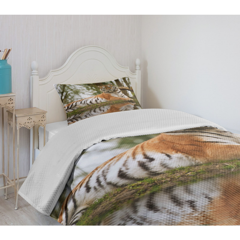 Siberian Mammal Warm Day Bedspread Set