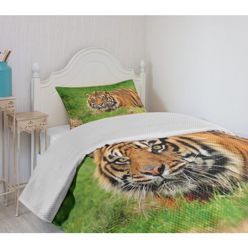 Sumatran Feline Ambush Bedspread Set
