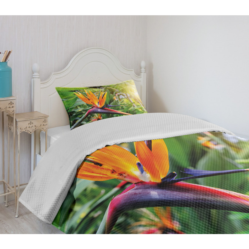 Bird of Paradise Flower Bedspread Set