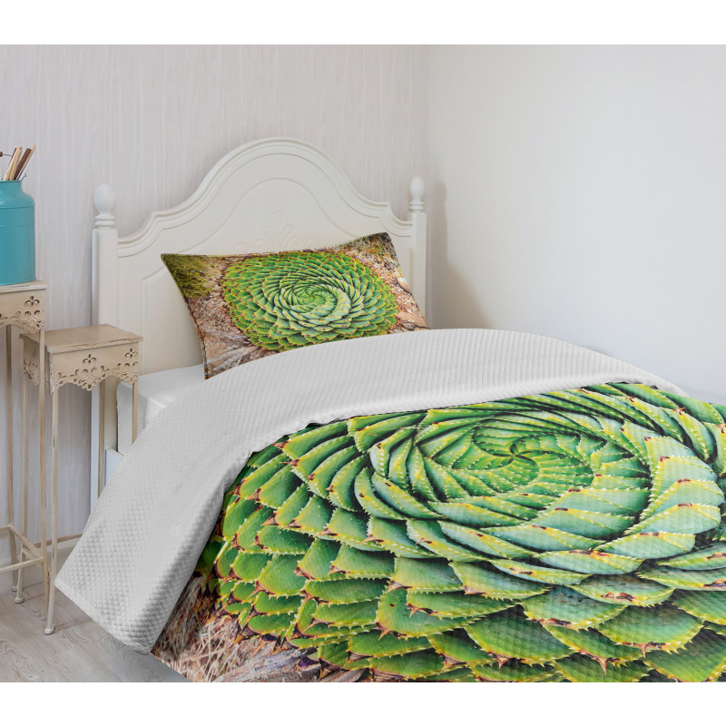 Aloe Polyphylla Vera Bedspread Set