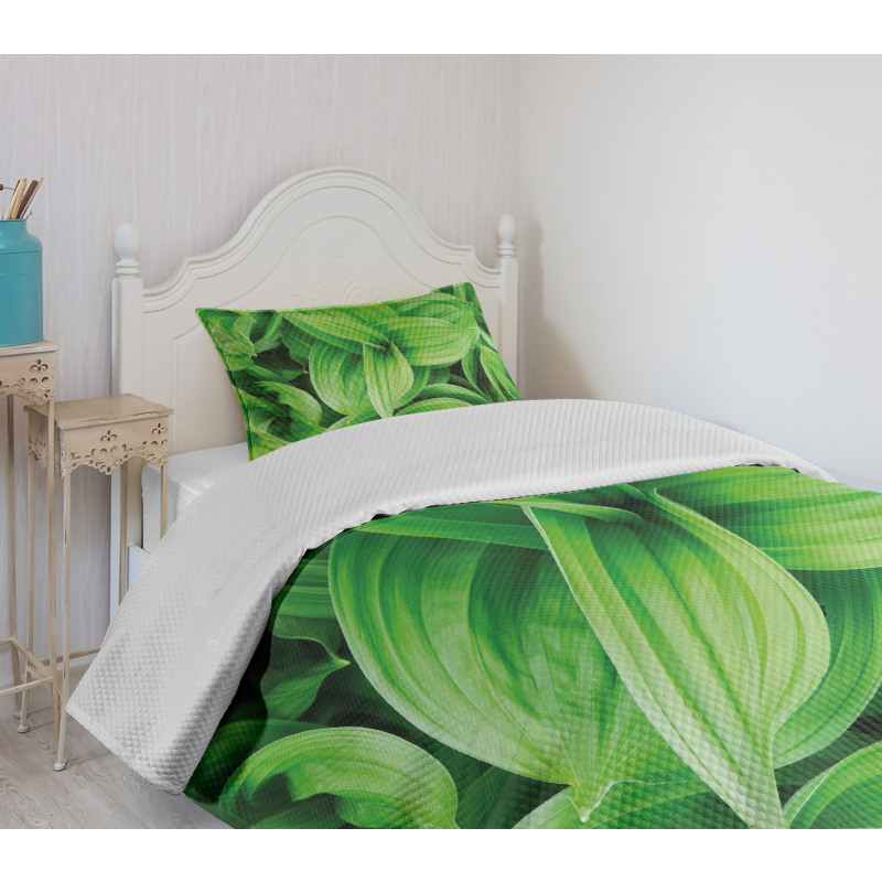 Tropic Foliage Pattern Bedspread Set