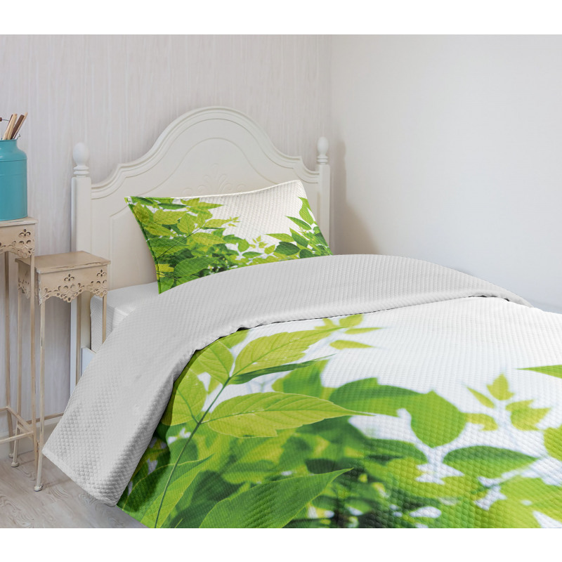 Birth of Nature Bedspread Set