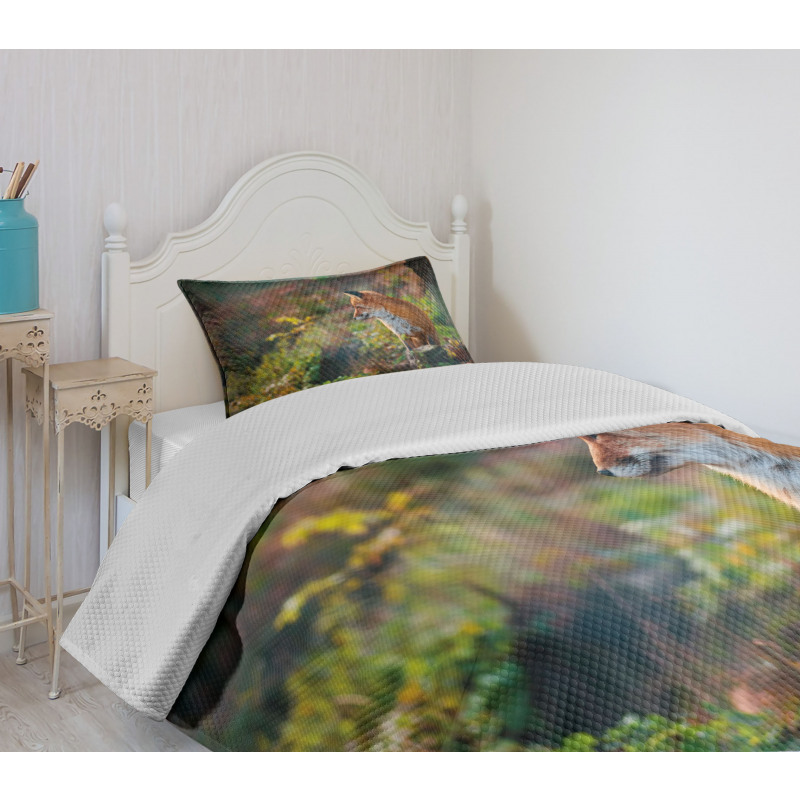 Young Wild Fox in Woodland Bedspread Set