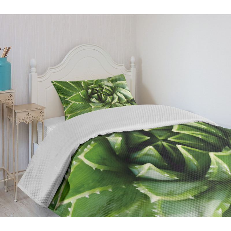 Green Leaf Exotic Mexico Bedspread Set