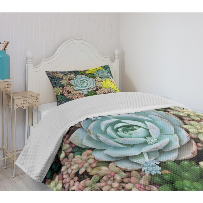 Miniature Plants Stones Bedspread Set