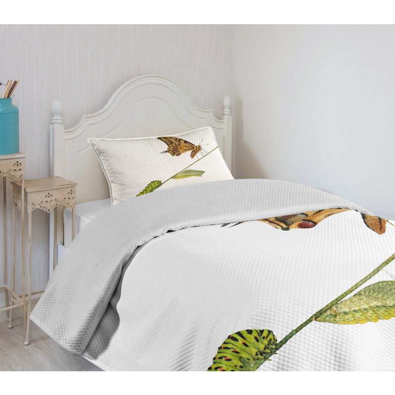 Life's Stages Bedspread Set