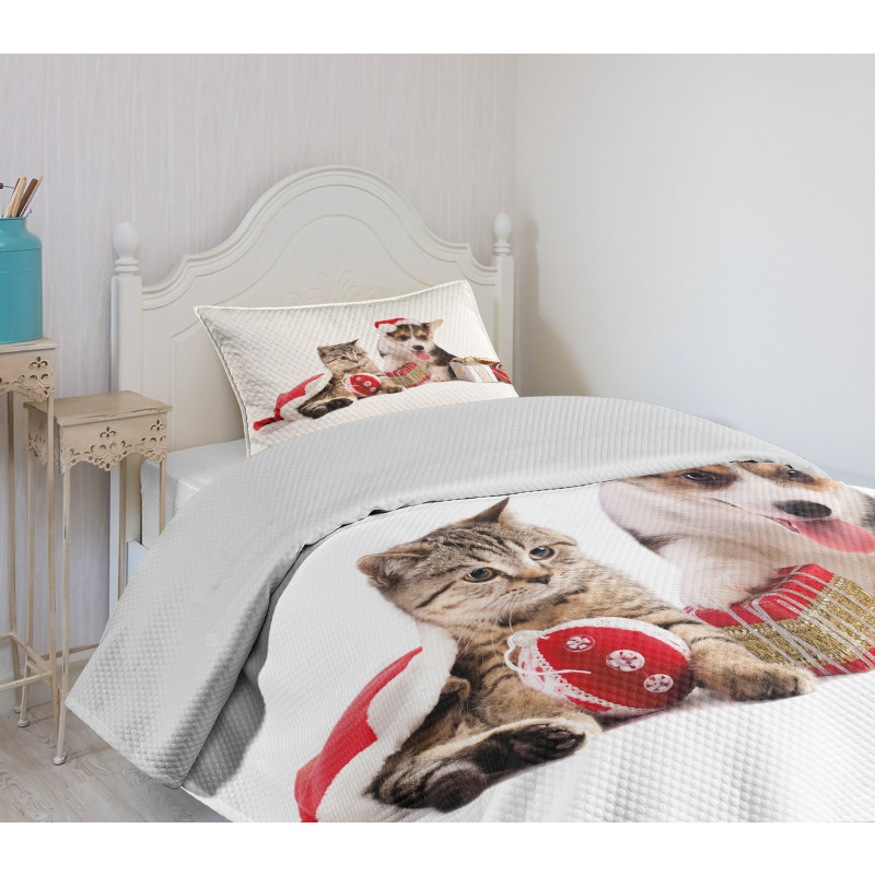Dog Cat with Presents Bedspread Set