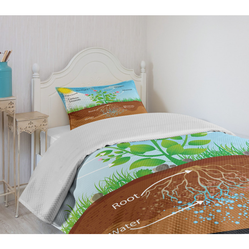 Plant Diagram Style Bedspread Set