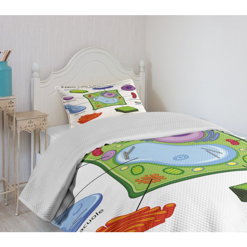 Cartoon Science Bedspread Set