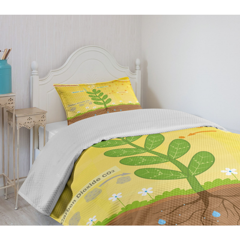 Cartoon Oxygen Sun Bedspread Set