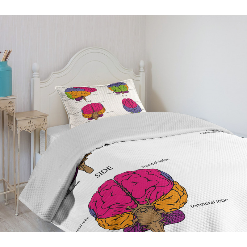 Human Brain Colors Bedspread Set