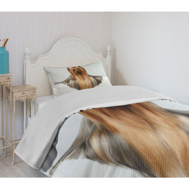 Groomed Hair Bedspread Set