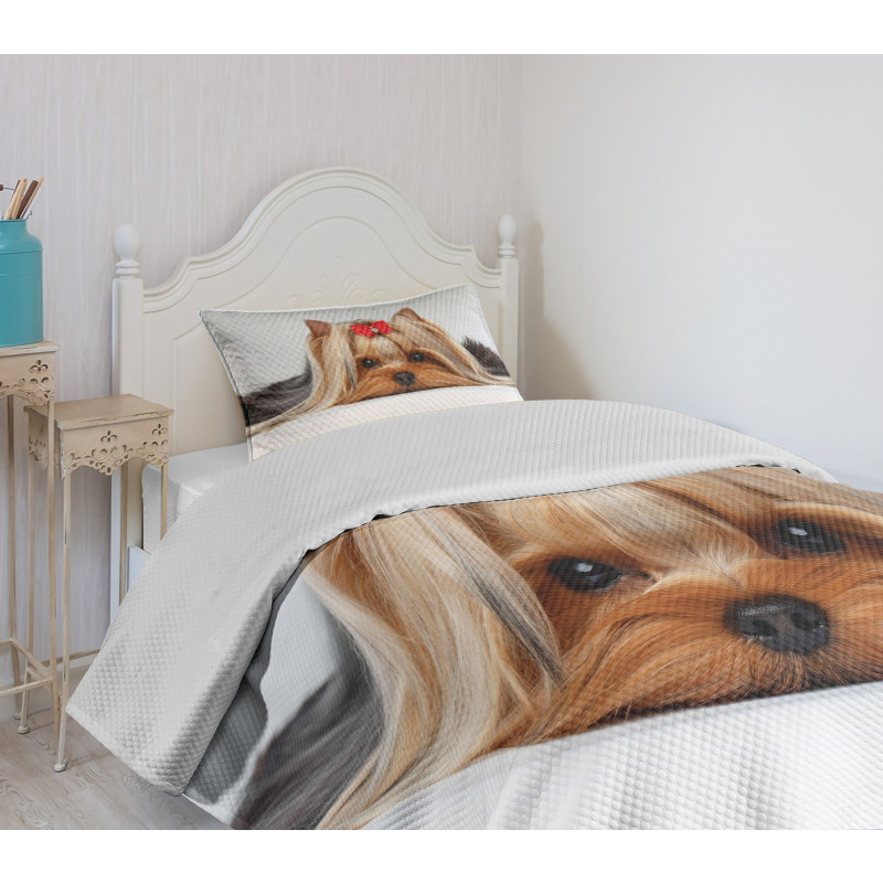 Lying Dog Ribbon Love Bedspread Set