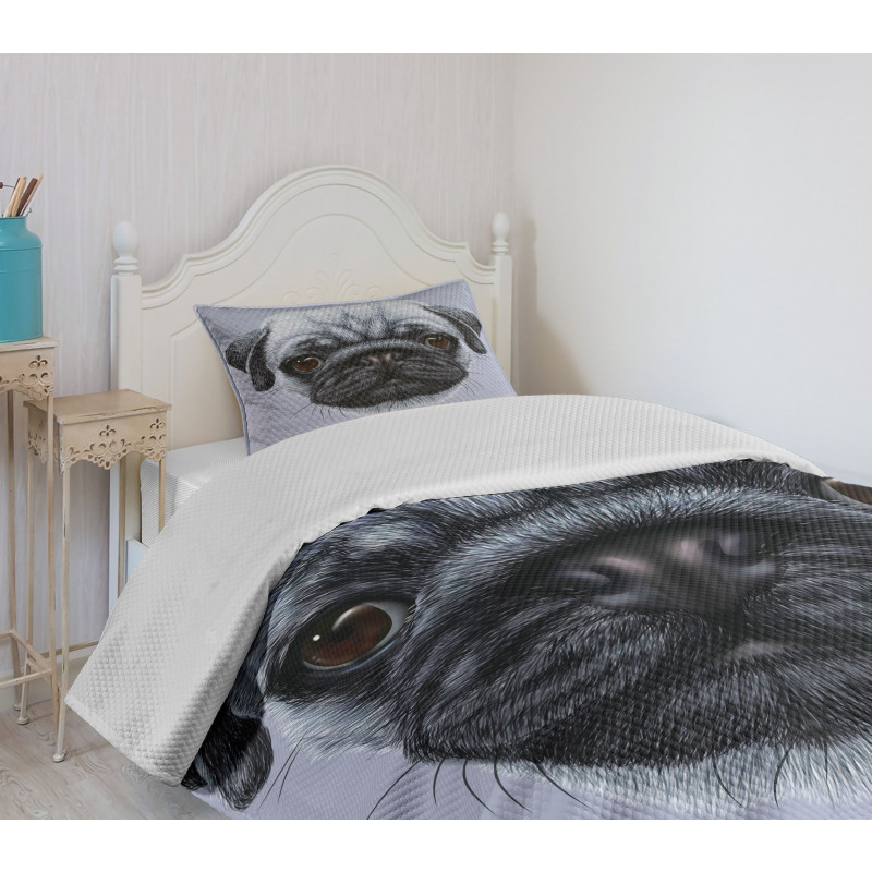 Young Puppy Giant Eyes Bedspread Set