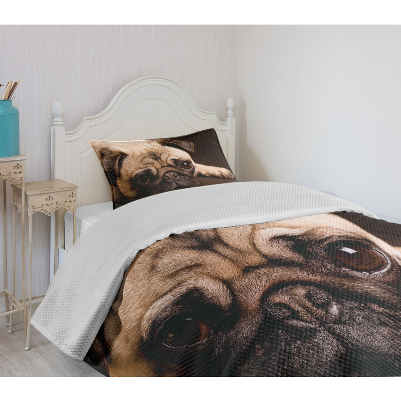 Puppy Photograph Animals Bedspread Set