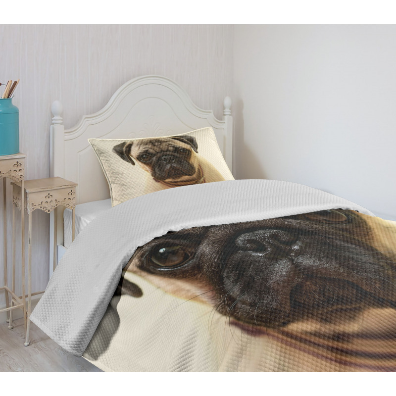 Pure Bred Dog Photograph Bedspread Set