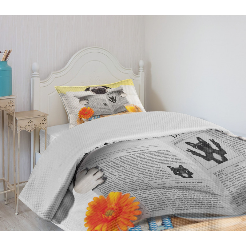 Pug Reading News Daily Dog Bedspread Set