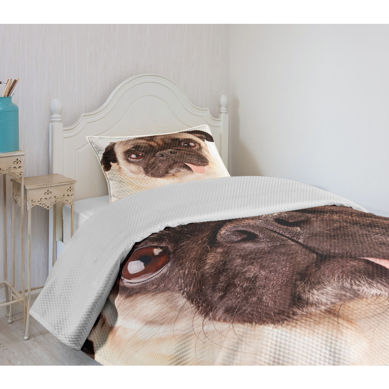 Upset Dog Sad Eyed Pet Bedspread Set