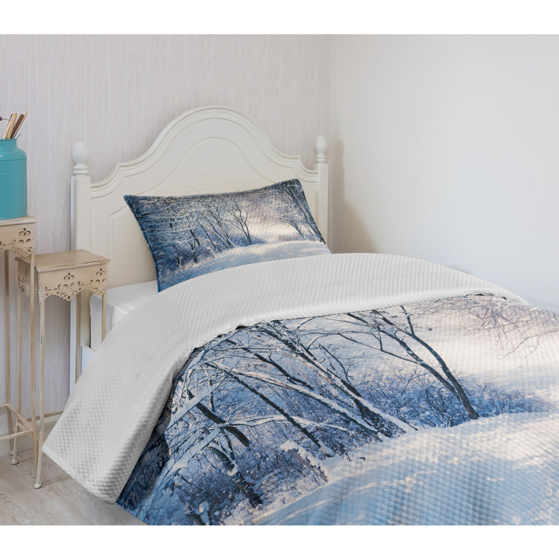 Alley in Snowy Forest Bedspread Set