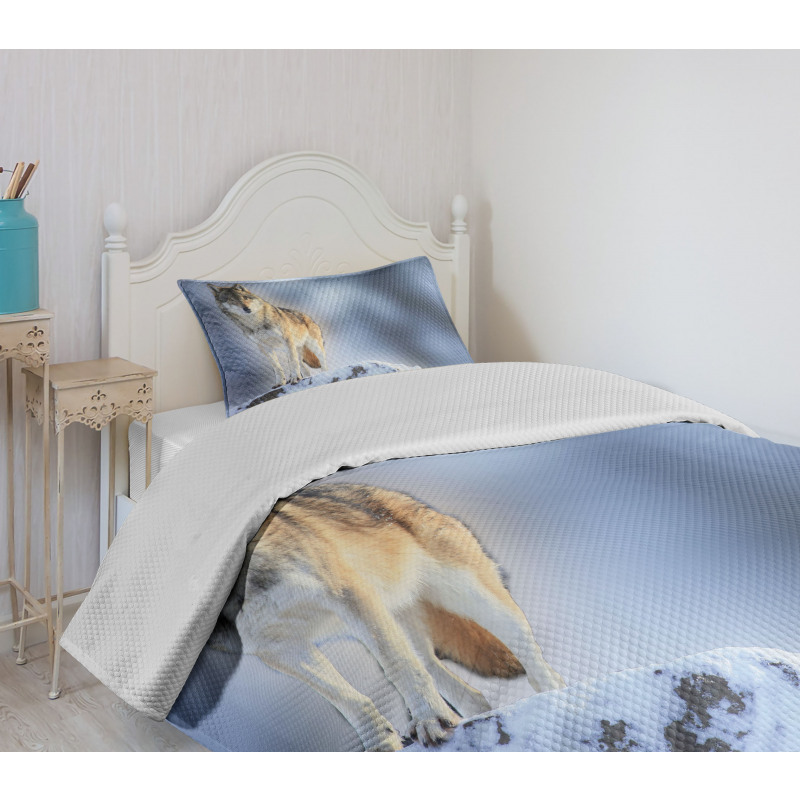 Carnivore Canine in Snow Bedspread Set