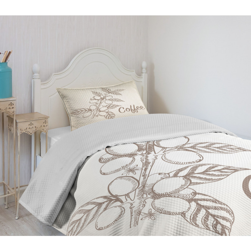 Sketch Style Coffee Bedspread Set