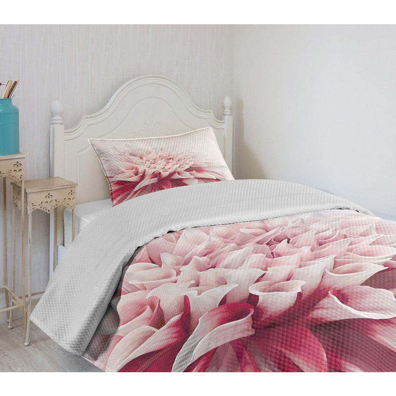 Close up Floral Blossom Bedspread Set