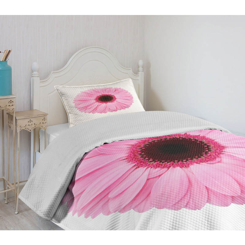 Gerber Daisy Bedspread Set